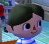 Animal Crossing New Leaf Hair Guide (English)