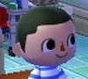 Animal Crossing New Leaf Hair Guide (English)