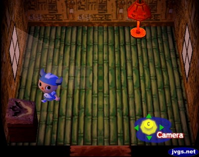 Ankha's almost empty house.
