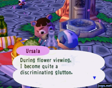 Ursala, at the Cherry Blossom Festival: During flower viewing, I become quite a discriminating glutton. (GIF)