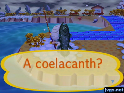 A coelacanth?