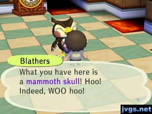 Blathers: What you have here is a mammoth skull! Hoo! Indeed, WOO hoo!