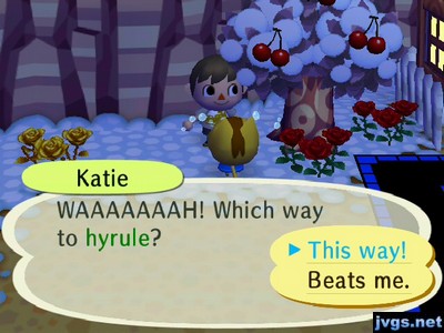 Katie: WAAAAAAAAAH! Which way to Hyrule?