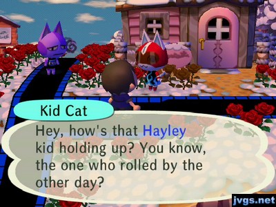 Kid Cat: Hey, how's that Hayley kid holding up? You know, the one who rolled by the other day?