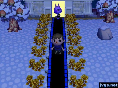 The path to my museum lined with gold roses. Bob is standing in the light from the museum's open door.