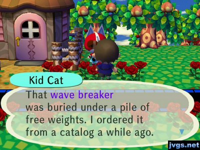 Kid Cat: That wave breaker was buried under a pile of free weights. I ordered it from a catalog a while ago.