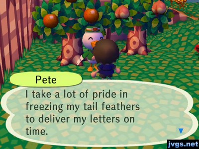 Pete: I take a lot of pride in freezing my tail feathers to deliver my letters on time.