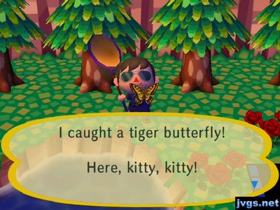 I caught a tiger butterfly! Here, kitty, kitty!