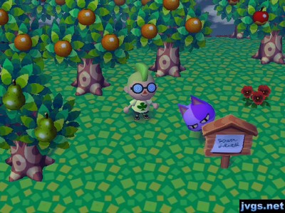 Bob hides behind a sign post during a game of hide-and-seek in Animal Crossing: City Folk (ACCF) on Wii.