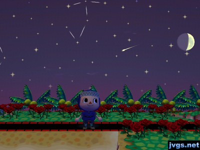 A shooting star flies through the purple, starry sky in ACCF.