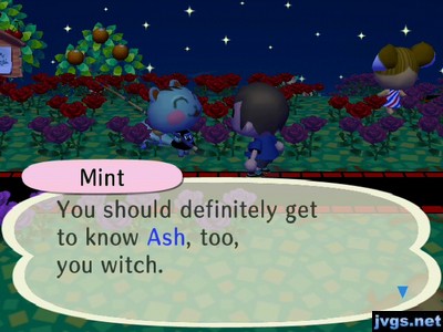 Mint: You should defintiely get to know Ash, too, you witch.