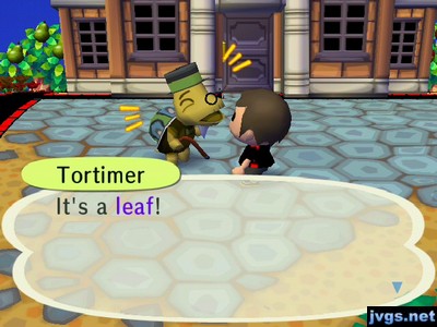 Tortimer: It's a leaf!