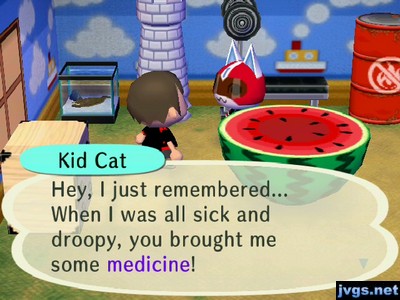 Kid Cat: Hey, I just remembered... When I was all sick and droopy, you brought me some medicine!