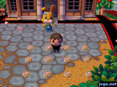 All twelve bunny foils on the ground in Animal Crossing: City Folk (ACCF) for Nintendo Wii.