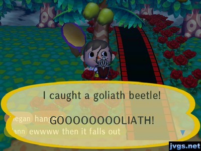 I caught a goliath beetle! GOOOOOOOOLIATH!