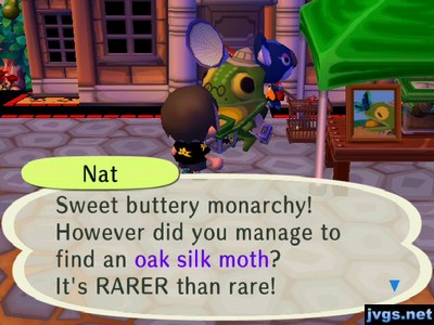 Nat: Sweet buttery monarchy! However did you manage to find an oak silk moth? It's RARER than rare!