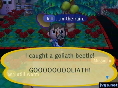 I caught a goliath beetle! GOOOOOOOOLIATH!