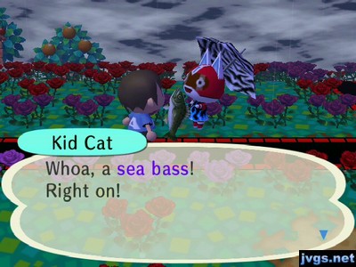 Kid Cat: Whoa, a sea bass! Right on!