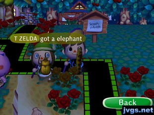 T Zelda: Got a elephant.