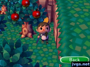 Me and the giant petaltail (dragonfly) I caught in Animal Crossing: City Folk.