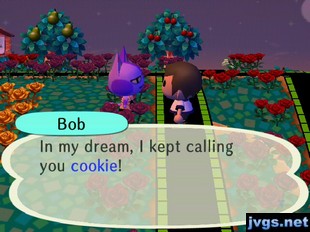 Bob: In my dream, I kept calling you cookie!