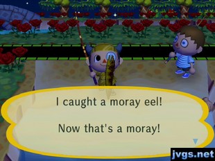 I caught a moray eel! Now that's a moray!