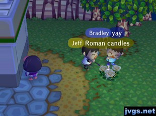 Jeff and Bradley trying to burn roses with roman candles.