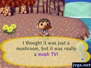 I thought it was just a mushroom, but it was really a mush TV!