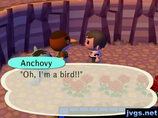 Anchovy: "Oh, I'm a bird!!"