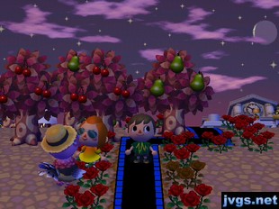 Skye speaks with Franklin during the harvest festival in Animal Crossing: City Folk for Wii.