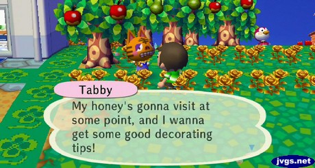 Tabby: My honey's gonna visit at some point, and I wanna get some good decorating tips!