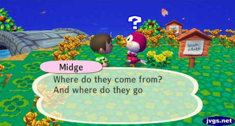 Midge: Where do they come from? And where do they go