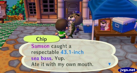 Chip: Samson caught a respectable 43.1-inch sea bass. Yup. Ate it with my own mouth.