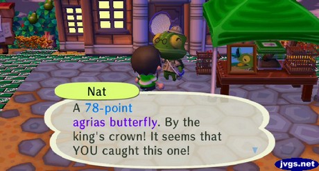 Nat: A 78-point agrias butterfly. By the king's crown! It seems that YOU caught this one!