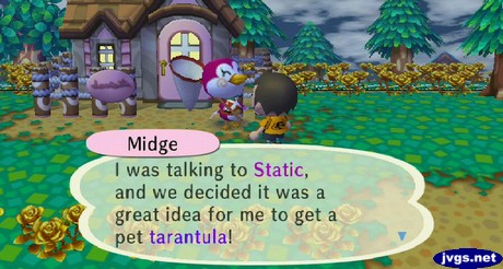 Midge: I was talking to Static, and we decided it was a great idea for me to get a pet tarantula!