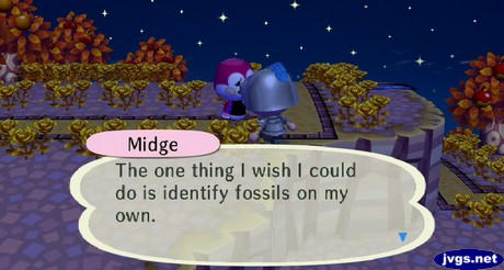 Midge: The one thing I wish I could do is identify fossils on my own.