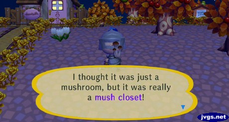 I thought it was just a mushroom, but it was really a mush closet!