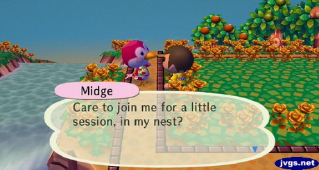 Midge: Care to join me for a little session, in my nest?