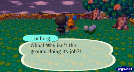 Limberg, in a pitfall: Whaa! Why isn't the ground doing its job?!