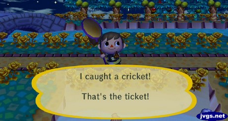 I caught a cricket! That's the ticket!
