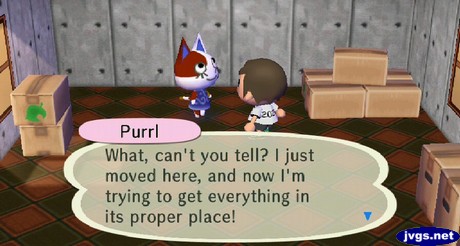 Purrl: What, can't you tell? I just moved here, and now I'm trying to get everything in its proper place!