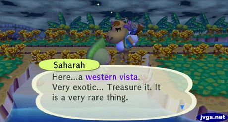 Saharah: Here...a western vista. Very exotic... Treasure it. It is a very rare thing.