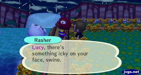 Rasher: Lucy, there's something icky on your face, swine.