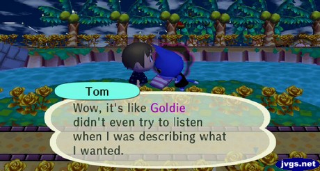 Tom: Wow, it's like Goldie didn't even try to listen when I was describing what I wanted.