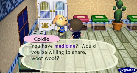 Goldie: You have medicine?! Would you be willing to share, woof woof?!