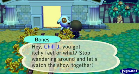 Bones: Hey, Chill J, you got itchy feet or what? Stop wandering around and let's watch the show together!