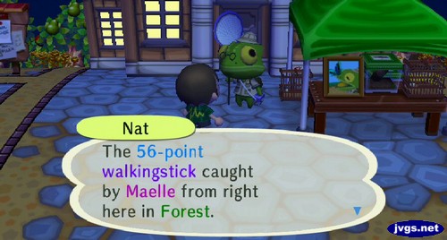 Nat: The 56-point walkingstick caught by Maelle from right here in Forest.