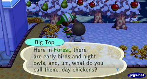 Big Top: Here in Forest, there are early birds and night owls, and, um, what do you call them...day chickens?