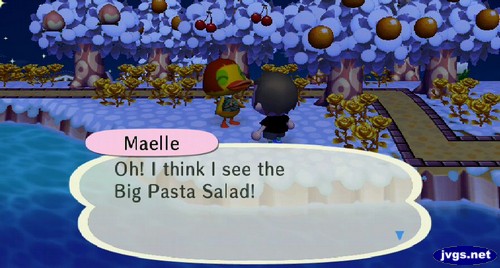 Maelle: Oh! I think I see the Big Pasta Salad!