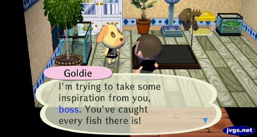 Goldie: I'm trying to take some inspiration from you, boss. You've caught every fish there is!